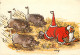 Warthogs And Santa Claus, Cartoon, South Africa Postcard Posted 1979 Stamp - Südafrika