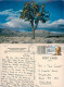 Joshua Tree National Monument, California, United States US Postcard Posted 1989 Stamp - Autres & Non Classés