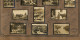 Set Of 13 Pictures Portugal Advert Tabacalera Cubana Cuba Flag Oporto Milk Vendors On Donkey Lisboa Etc - Autres & Non Classés