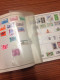 Delcampe - Env. 3650 TIMBRES LOT TOUS PAYS DANS ALBUM THIAUDE LE GLOBE Env. 265 PAGES PHOTOS A TRIER ET  A ETUDIER !!! - Collections (with Albums)