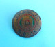 G.U.J.S. - General Union Of Jordanian Students - Old Rare Pin Badge * Palestina Palestine Jordan - Other & Unclassified