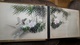 ALBUM CPA Bois Laque De Chine - Gouache Japon Dessin Peinture Main - 1900 - VIDE - Non-classés