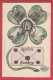 Alsemberg - Amitiés De ... - Postkaart 5 Foto's  -1911  ( Verso Zien ) - Beersel