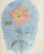Dessin D´amateur/Aquarelle/L RACLET/Non Encadré/Fleur/ Dahlia Décoratif/ Vers 1950    GRAV161 - Watercolours