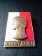 Polish Army Exemplary Soldier Wzorowy &#379;o&#322;nierz 1950s Brass Enamel POLAND POST WWII 1950 GOLD VERSION PIN RARIT - Other & Unclassified