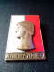 Polish Army Exemplary Soldier Wzorowy &#379;o&#322;nierz 1950s Brass Enamel POLAND POST WWII 1950 GOLD VERSION PIN RARIT - Autres & Non Classés