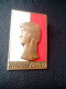 Polish Army Exemplary Soldier Wzorowy &#379;o&#322;nierz 1950s Brass Enamel POLAND POST WWII 1950 GOLD VERSION PIN RARIT - Altri & Non Classificati