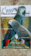 N°94 Janvier 2007 - L' Envol Magazine De La Fédération Française D' ORNITHOLOGIE - OISEAUX - Animales