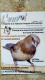 N°97 Avril 2007 - L' Envol Magazine De La Fédération Française D' ORNITHOLOGIE - OISEAUX - Animales