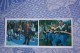 Russia.. Deer Race. Tug Of War -  Traditional Game. -  1978 Postcard - Jeux Régionaux