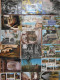 Delcampe - [16 SCANS] ALPES MARITIMES : LOT De 100 Cartes (minimum) TOUTES DIFFERENTES Avec CPSM Et CPM  - à Voir - 100 - 499 Postcards