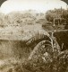 Indes Bombay Tour Du Silence Religion Parsi Ancienne Photo Stereoscope Underwood 1903 - Stereoscopic