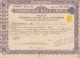 HYDERABAD  2A Yellow Embossed Revenue + 2A India Blue Revenue On 100 Rs Osmanshahi Share Certfct # 92658  India  Inde - Textiel