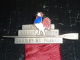 BROCHE AVIRON OFFICIEL COQ EN EMAIL - CRIP JUILLET 1934 CHAMPIONNATS DE FRANCE - RARE - SUPERBE MEDAILLE AVIRON SPORT - Rudersport