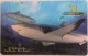 MICRONESIA -  Yap Pacific Dive Resort -white Sharks , 5$, Used - Micronesia