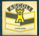 A2272   FIGURINA PANINI ASCOLI TITOLARE CALCIOGRADO IN TEXILINA CALCIATORI 1874 - 75 - Edizione Italiana