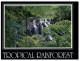 (238) Australia - QLD - Tropical Rainforest Waterfalls - Far North Queensland