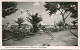 Ostseebad Niendorf Bei Travemünde - Hotel Immenhof - Promenade Und Palmengarten - Foto-AK Gel. 1954 - Timmendorfer Strand