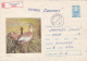 # BV 2706  WILD BIRD, ANIMALS, 1971, COVER STATIONARY, SENT TROUGH MAIL, ROMANIA - Ganzen