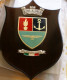 ITALIA - STORICO CREST ARALDICO DEL CASD - Navy