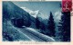 CPA.74.Chamonix.1936.Chemin De Fer Du Montenvers Et Le Mont-Blanc.animé Train. - Chamonix-Mont-Blanc