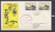 + JAPAN 1961, FIRST FLIGHT COVER, TOKYO 23. JAN. 1961, TOKYO - FRANKFURT, LUFTHANSA, See Scans - Cartas & Documentos
