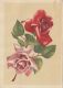 48739- ROSES, FLOWERS, TELEGRAMME, 1964, ROMANIA - Télégraphes