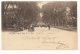 U.S.A - NEW YORK - THE MALL - CENTRAL PARK  - EDIT SOL ART PRINT 1905 - Central Park