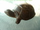 Tortue En Bois - 4-02 - Figurne Longueur 11 Cm - Largeur 6,5 Cm -  Hauteur 5cm - Wood