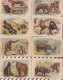 6AI3623 CHROMO NATHAN Lot De 13 Fiches ANIMAUX 2 SCANS - Animaux