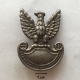 Badge (Pin) ZN002743 - Military (Army) Poland (Polska) Officer Eagle - Militaria