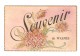 CPA  Fantaisie WASMES Souvenir De Wasmes Fleurs - Colfontaine