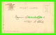 NEW YORK CITY, NY - MULBERRY BEND PARK - ANIMATED - TRAVEL -  ILLUSTRATED POSTAL CARD CO - UNDIVIDED BACK - - Parken & Tuinen