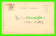 NEW YORK CITY, NY - MULBERRY BEND PARK - ANIMATED - TRAVEL -  ILLUSTRATED POSTAL CARD CO - UNDIVIDED BACK - - Parchi & Giardini