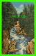 WILMINGTON, NEW YORK  - THE FLUME GORGE IN AUSABLE RIVER - C. W. HUGHES &amp; CO INC - - Adirondack