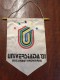 Pennant Romania - UNIVERSIADA 81 BUCURESTI ROMANIA - Apparel, Souvenirs & Other