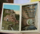 Delcampe - ITALIA - RACCOLTA IN FOLDER  DI 12 CARTOLINE EPOCA  DI CASTEL SANT'ELIA - Viterbo