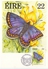 IRELAND BUTTERFLY MAXIMUN POST CARD 1985 3 PIECES   (SET160285) - Maximum Cards