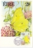 IRELAND BUTTERFLY MAXIMUN POST CARD 1985 3 PIECES   (SET160285) - Cartoline Maximum