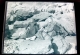 Pêche Sur Les Rochers - Femmes Panier - Négatif Sur Plaque De Verre 9X12cm Env - Bien Lire Descriptif - Plaques De Verre