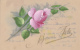 Matériaux - Celluloïd Celluloïde - Carte Porcelaine - Carte Peinte - Rose Bonne Fête - 1906 - Porcelana