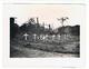 Delcampe - CARTE PHOTO AVRANCHES Lot De31 Photos Plus1photo Sur Lolif Au Loin Sur La Dévastation De La Ville Par L'aviation En 1944 - Avranches