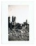 Delcampe - CARTE PHOTO AVRANCHES Lot De31 Photos Plus1photo Sur Lolif Au Loin Sur La Dévastation De La Ville Par L'aviation En 1944 - Avranches