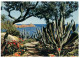 (DEL 115) France - Cote D'Azur And Cactus Plant - Cactus