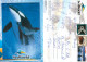 Shamu The Killer Whale, SeaWorld, Florida, United States US Postcard Posted 2012 Stamp - Orlando