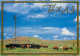 Cattle, Texas, United States US Postcard Posted 2013 ATM Meter - Andere & Zonder Classificatie