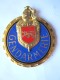 RARE INSIGNE PLAQUE MOTARD GENDARMERIE NATIONALE (DOREE) HOMOLOGUE H696 ARTHUS BERTRAND PARIS ETAT EXCELLENT - Policia