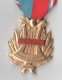 MEDAILLE VETERAN CONFEDERATION MUSICALE DE FRANCE, émail  - Graveur G MORET PARIS Modèle Déposé - Sonstige & Ohne Zuordnung