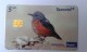 SWITZERLAND - 5CHF - BIRD - 200.000EX. - Svizzera