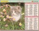 ALMANACH  DU  FACTEUR  1998   Meurthe Et Moselle.   CHATON  /  CHIOT - Petit Format : 1991-00